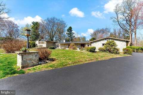 Frazier, JENKINTOWN, PA 19046