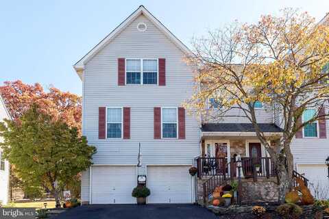 Misty, PERKASIE, PA 18944