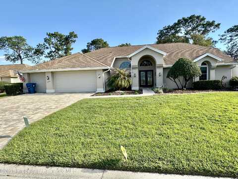 Ashley, WEEKI WACHEE, FL 34613