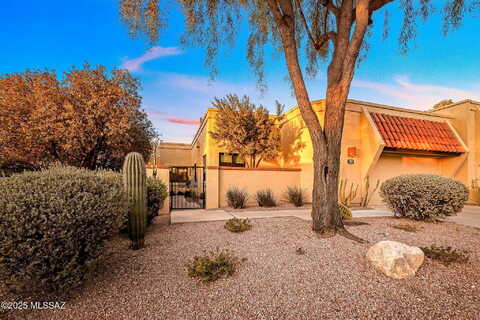 Camino Corrida, TUCSON, AZ 85704