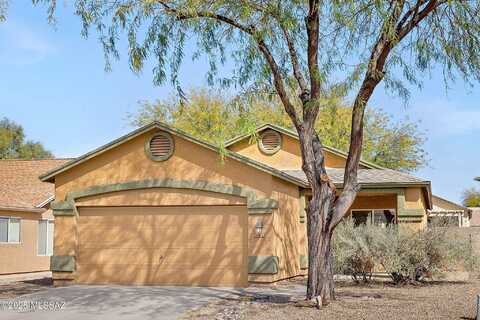 Autumn Sage, TUCSON, AZ 85747