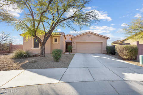 Crows Nest, TUCSON, AZ 85756