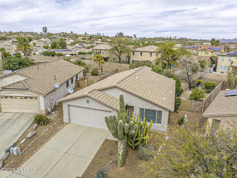 Sweet Acacia, TUCSON, AZ 85742