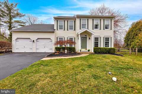 Shamrock, ROYERSFORD, PA 19468