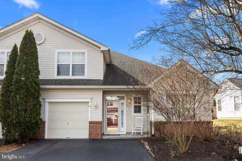 Black Eyed Susan, LANGHORNE, PA 19047