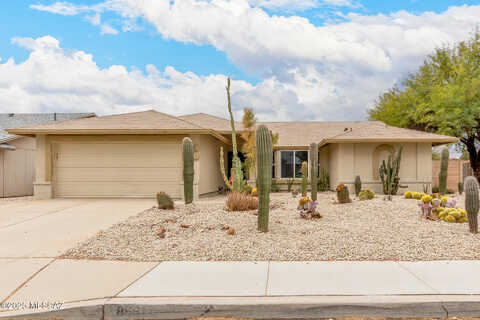 Star Grass, TUCSON, AZ 85742