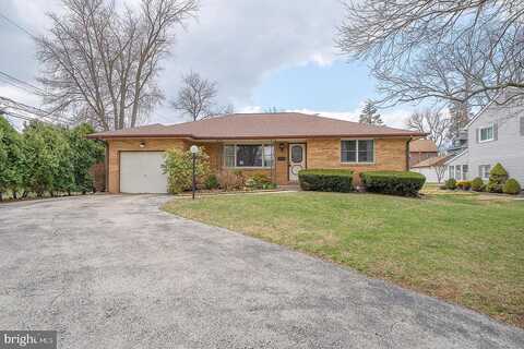 Rose, MORTON, PA 19070