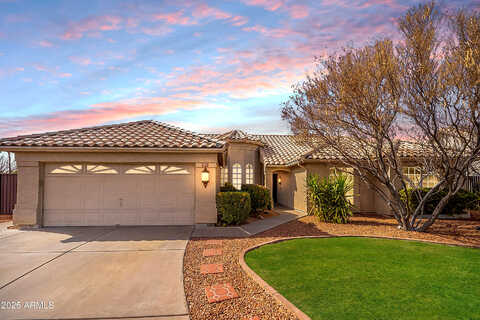 Cholla, GILBERT, AZ 85233