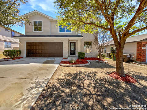 Calypso Dawn, SAN ANTONIO, TX 78252