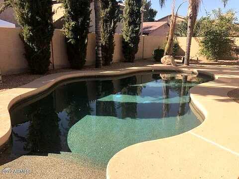 Wilson, CHANDLER, AZ 85249