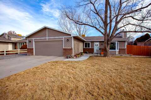 Pioneer, GRAND JUNCTION, CO 81504