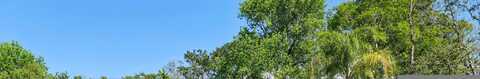 Island Forest, FLEMING ISLAND, FL 32003