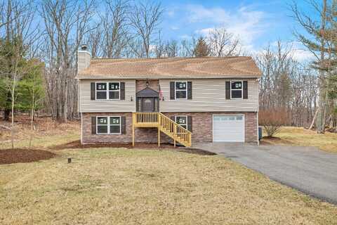 Woodchuck, EAST STROUDSBURG, PA 18301