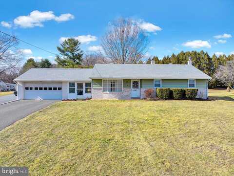Congo, GILBERTSVILLE, PA 19525