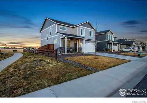 Holstein, FORT COLLINS, CO 80528