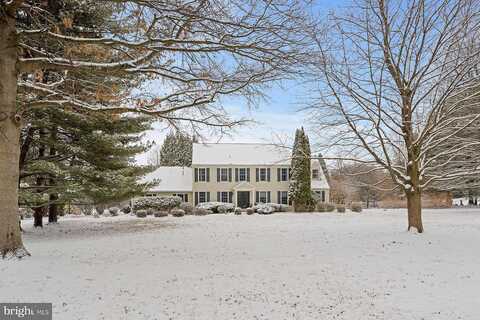 Shetland, DOYLESTOWN, PA 18902