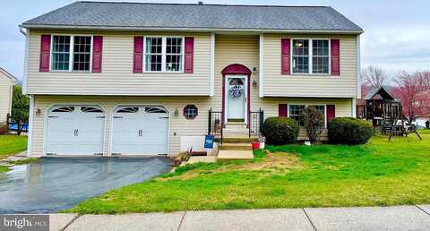 Garfield, BIRDSBORO, PA 19508