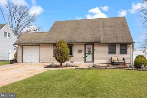 Pine Needle, LEVITTOWN, PA 19056