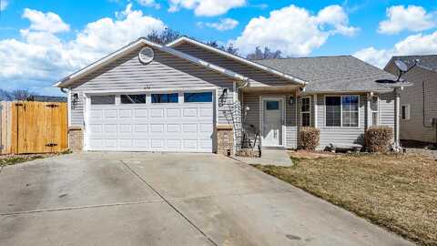 Robin, GRAND JUNCTION, CO 81504