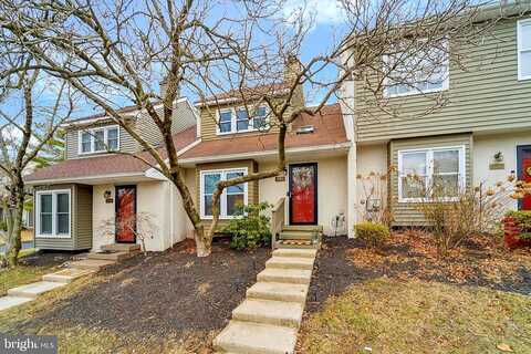 Cara, CHESTER SPRINGS, PA 19425