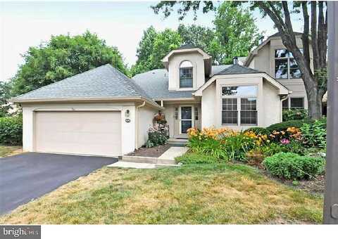 Copper Beech, ELKINS PARK, PA 19027