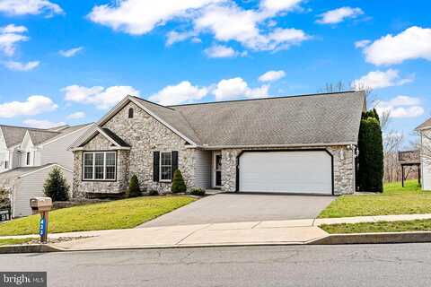 Chestnut, NEW CUMBERLAND, PA 17070