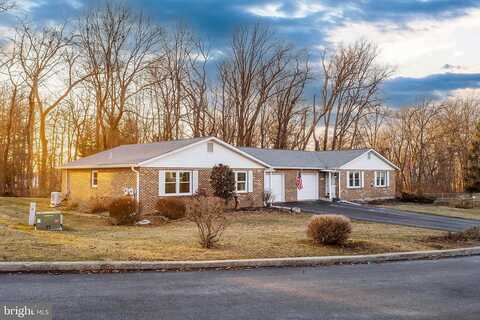 Mink, EMMAUS, PA 18049