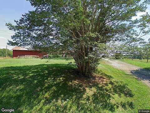 Amicus, STANARDSVILLE, VA 22973