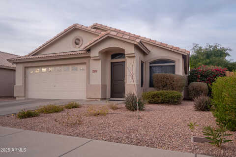 Jojoba, PHOENIX, AZ 85044