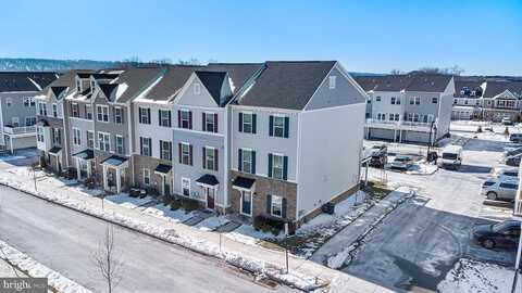 Blue Welsh, MALVERN, PA 19355