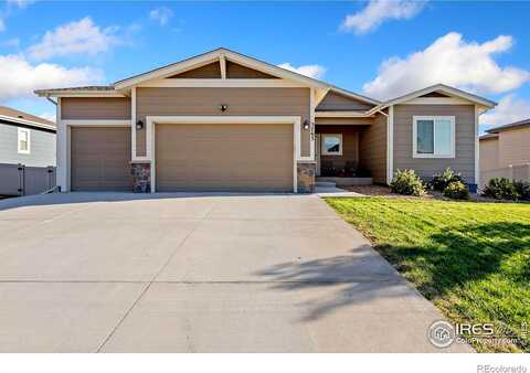 Buckthorn, WELLINGTON, CO 80549