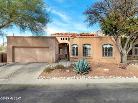Calle Del Cacto, TUCSON, AZ 85718