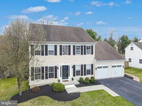 Brandon, DOYLESTOWN, PA 18902