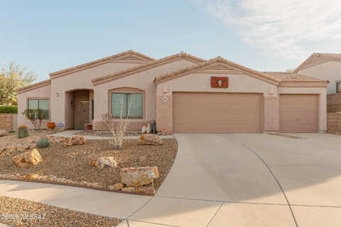 Silvertip, TUCSON, AZ 85737