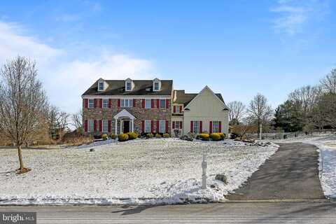 Williamson, DOWNINGTOWN, PA 19335