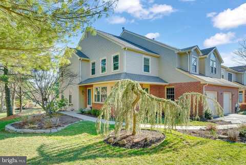 Conway, AMBLER, PA 19002