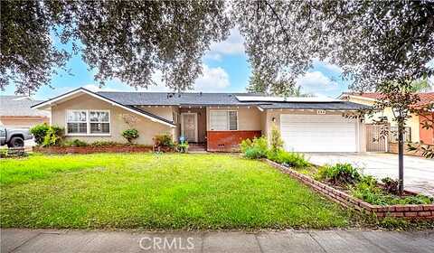 Freda, POMONA, CA 91767