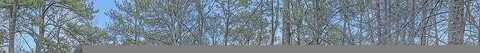Orr, ATLANTA, GA 30344