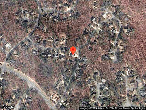 Pheasant, MC GAHEYSVILLE, VA 22840