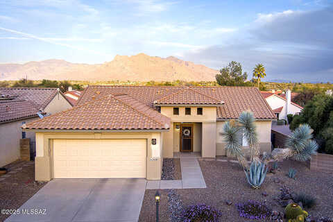 Tom Watson, TUCSON, AZ 85742