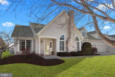 Sugarberry, LANGHORNE, PA 19047