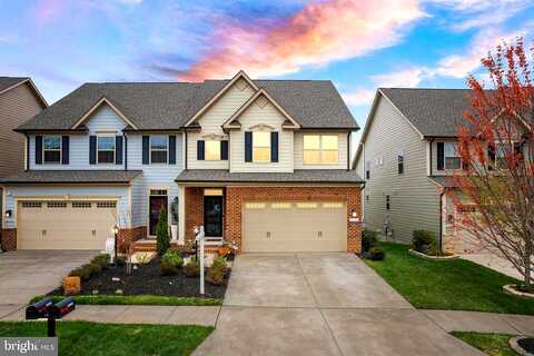 Red Pine, DUMFRIES, VA 22026