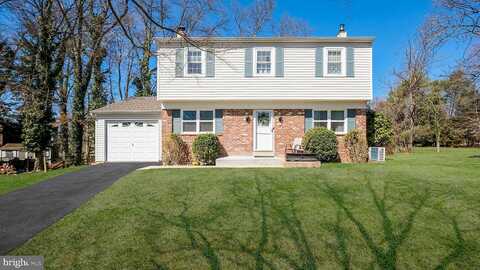 Pine Tree, HATBORO, PA 19040