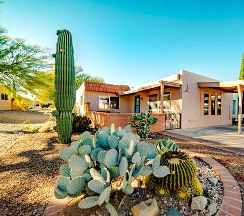 Cactus, GREEN VALLEY, AZ 85614
