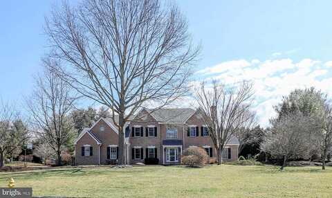 Ash, DOYLESTOWN, PA 18901