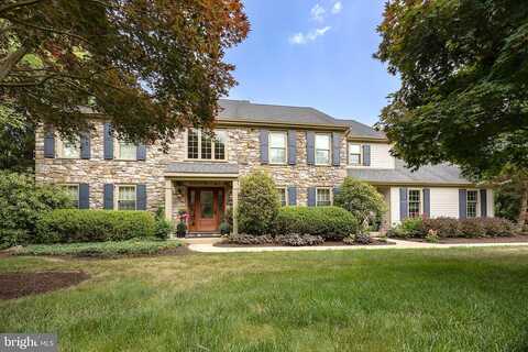 Whitetail, GLENMOORE, PA 19343