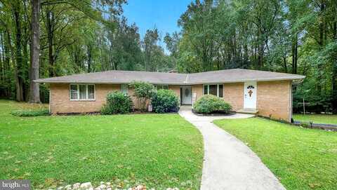 Whitetail, CHADDS FORD, PA 19317