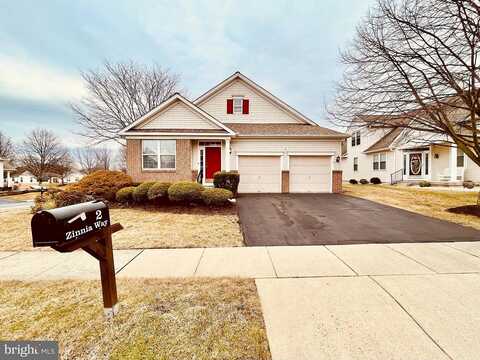 Zinnia, LANGHORNE, PA 19047