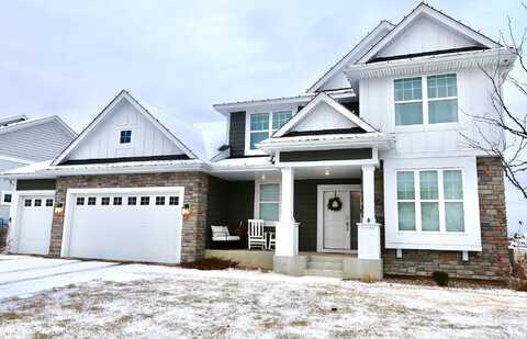 Lupine, HAMEL, MN 55340