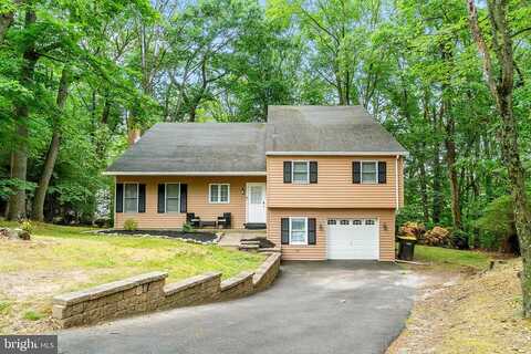 Richard, WILLOW GROVE, PA 19090